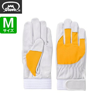 xmO[u  AX[g F-505 ؔNXg CG[ MTCY[5883] 1o :FG8300