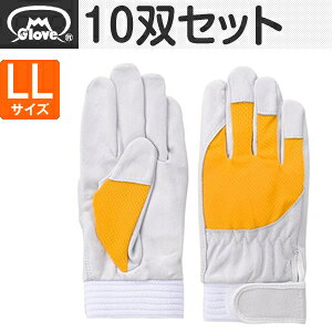 xmO[u  AX[g F-505 ؔNXg CG[ LLTCY[5885] 10oZbg :FG8508