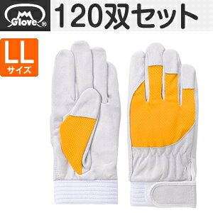 xmO[u  AX[g F-505 ؔNXg CG[ LLTCY[5885] 1120oZbg :FG8508