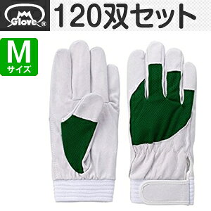 xmO[u  AX[g F-505 ؔNXg O[ MTCY[5887] 1120oZbg :FG8706