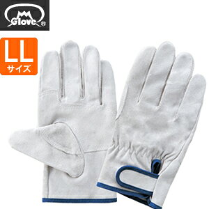 xmO[u  ؏CW[^ Aet EX-500 LLTCY[5974] 1o :FG7401