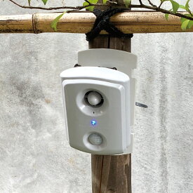 楽天市場 ガーデンバリアの通販