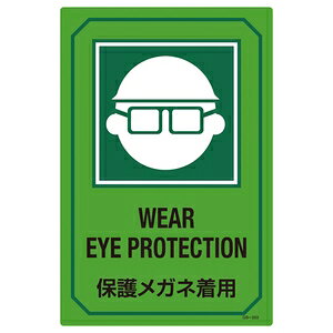 Ώ\@pTCW@GB-203@WEAR@EYE@PROTECTION@ی상Klp