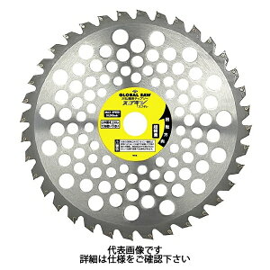 gL `bv\[ XSM @p GSC^Cv Oa255mm n40 GSC-255-40