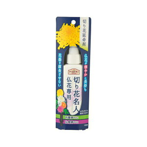 A[X A[XK[f ؂Ԗl Ԑp 100mL  ؂  [4901080292513]