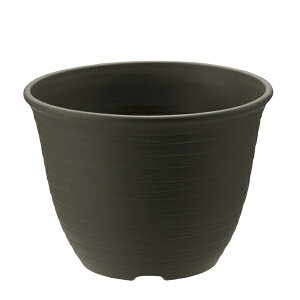 b`F GR |bg 10 DG _[NO[ [4945680702553]