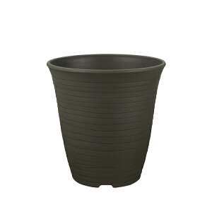 ���b�`�F�� �G�R�� �n�C�|�b�g 7�� DG �_�[�N�O���[ [4945680702652]