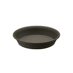 ���b�`�F�� �G�R�� �v���[�g 7�� DG �_�[�N�O���[ [4945680702829]