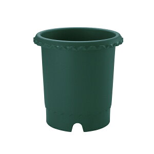 b`F o8 DG _[NO[ [4973655715833]