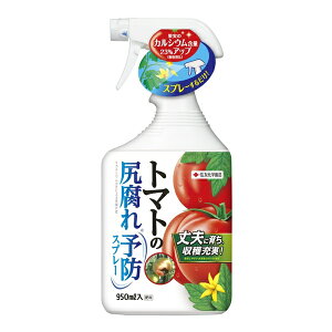 ZFw| g}gK\hXv[950ml 엿 Xv[ A瑣i ߕsv [4975292603276]