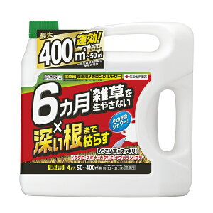 ZFw| ގKOV[4L  t e G΍ ߕsv [4975292603733]