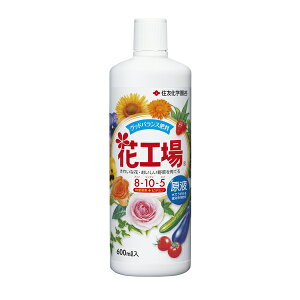 ZFw| ԍHꌴt600ml 엿 t A瑣i ߗp [4975292604457]