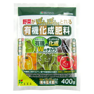 Ԃ ؂̗L@엿 400g [4977445055604]