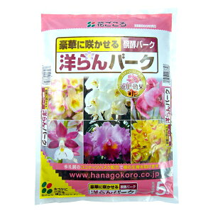 Ԃ mo[N 5L [4977445083348]