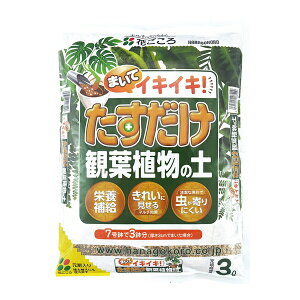 Ԃ ϗtA̓y 3L [4977445207409]