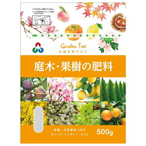 AOA ST؁Eʎ̔엿 500g