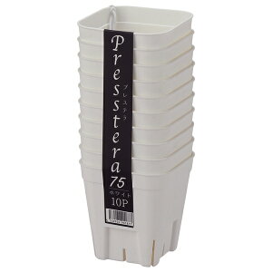 AbvEFA[ vXe75^ 10g zCg |pi K[fjO  v^[