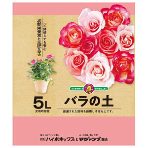  nC|lbNX{}O@vKz o̓y 5L