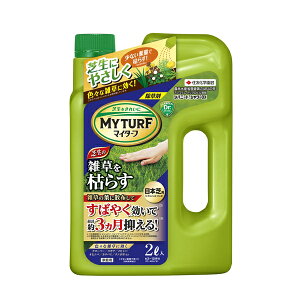 ZFw| }C^[tVoj[hV[DX 2L Ő G 