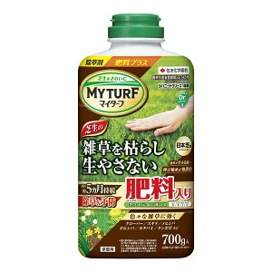 ZFw| }C^[tVoj[hO[ 700g Ő G 