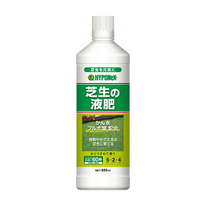 nC|lbNXWp Ő̉t 800ml