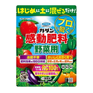 t}L[ J_ 엿 ؗp 500g [4902424449969]