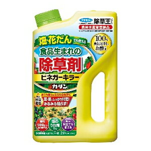 t}L[ J_  rlK[L[2L [4902424450033]