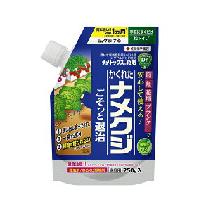 ZFw| igbNX 250g [4975292604518]