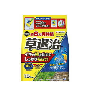 ZFw| ގE 1.5kg [4975292604600]