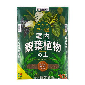 Ԃ OcϗtA̓y 10L [4977445207607]