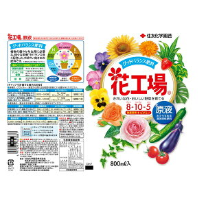 ZFw| ԍHꌴt800ml 엿 t A瑣i ߗp [4975292603887]