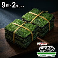 【2平米用 普通便】芝生 TM9 ティーエムナイン 2平米用 1ケース(2束)1束9枚入り 省管理型 トヨタ TOYOTA …