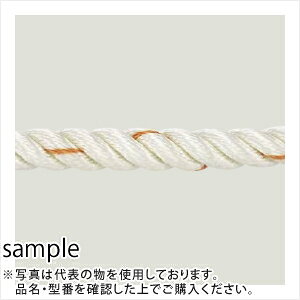 t[v@iC[v3ł@a6mm×200m@dʁF3.1kg