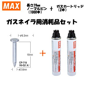 MAX（マックス） ガスネイラ用消耗品セット　ノーマルピン　長さ19mm(1000本入)　CP-719V6-G2(A)(CP92085)