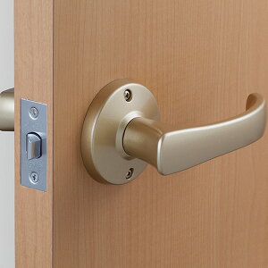 Z TKo[V[Yi֗pj  DT1-1M-MG Ή:26`42mmF4-41iS[hj [@l]