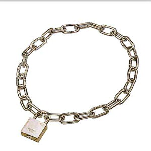 {@B@XeX@X[p[ftbN@iԁFSDL-40-6@1i