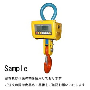 JFEアドバンテック ATHW2-10M クレーンスケール手元表示器なし 取引証明用 10t