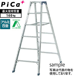sJ(Pica)@A~@pr@BM-A180@[^Edʕ]