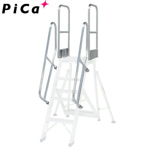 sJ(Pica)@A~@܂肽ݎƑpIvV@DXR-TE1@Ki肷@V@[^Edʕ]