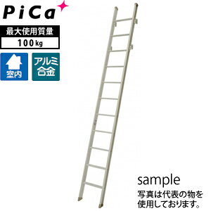 sJ(Pica)@A~@tg͂@͂@LRS-31@[^Edʕ]