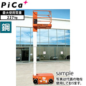 sJ(Pica)@Ǝԁ@TM12@[^Edʕ]