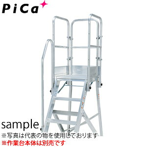 sJ(Pica)@DWR^A~ƑpIvV@DWR-TE4BB@KiЎ肷EVO@[zi]