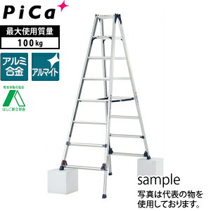 sJ(Pica)@A~Lkpr@SCL-240A@[@l]