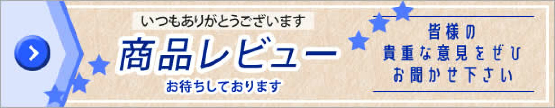 レビュー
