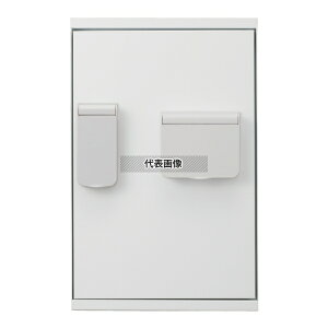 _hz[NGCg X֎ zCg tz{bNX(_C) 1 @:563×360×360mm SK-CBX-M11R-WC [@l][ʓrς]