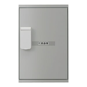 _hz[NGCg X֎ Vo[ z{bNX(_C) 1 @:563×360×360mm SK-CBX-M11-SL [@l][ʓrς]