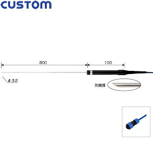 JX^(CUSTOM) KS-300W t̗pZT[()