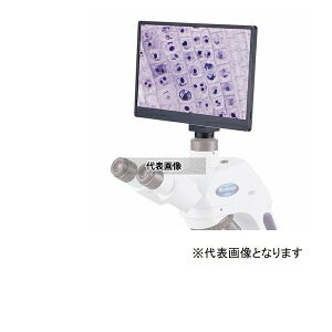 �P�j�X ���j�^�t 4K�������J���� LS4K