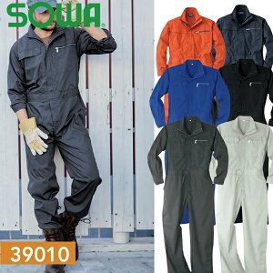 Ka(SOWA) 39010 Ȃ IׂJ[F6F TCYFS`6L ciMEƒEƕ