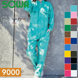 Ka(SOWA) 9000 Ȃ IׂJ[F21F TCYFSS`6L ciMEƒEƕ